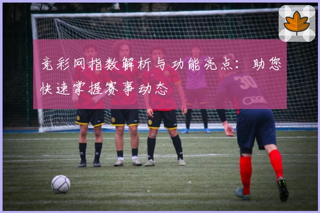 竞彩网指数解析与功能亮点：助您快速掌握赛事动态