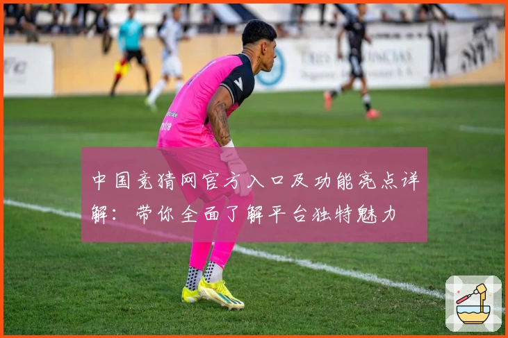 中国竞猜网官方入口及功能亮点详解：带你全面了解平台独特魅力