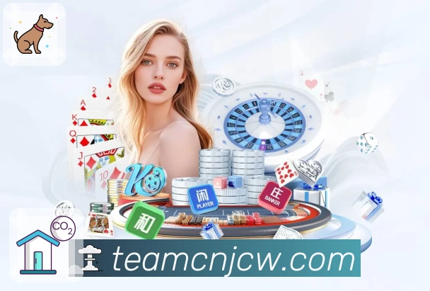 体育赛事直播与数据服务平台